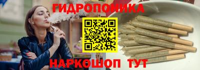 крисы Славянск-на-Кубани