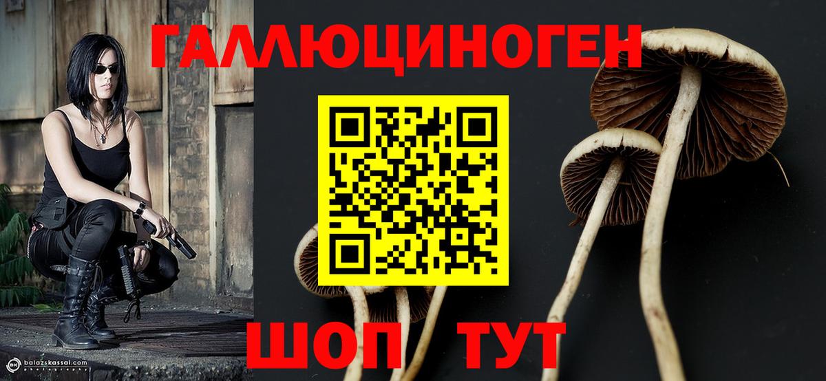 Галлюциногенные грибы мухоморы  наркотики  Новошахтинск  Вход с VPN 