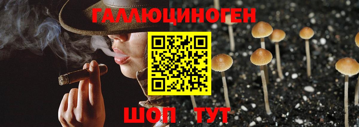 Псилоцибиновые грибы прущие грибы Новошахтинск
